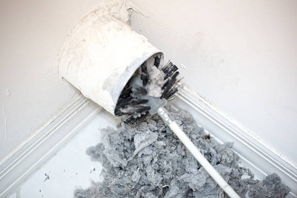 Best Ventilation Cleaning Services  in Cleveland, FL